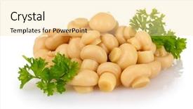  Presentation with paddy mushroom - Amazing presentation theme having sowing reaping - natural wheat green sprouts backdrop and a gray colored foreground