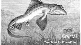  Presentation with marine - Colorful PPT theme enhanced with marine animal drawings - sea chimera or chimaera vintage backdrop and a gray colored foreground