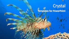  Presentation with ocean litter - Colorful theme enhanced with marine animals - lionfish on coral reef backdrop and a cobalt blue colored foreground