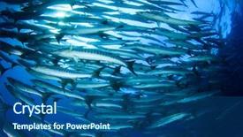  Presentation with malaysia ethnicity - Cool new PPT theme with marine animals - school barracuda fish in sipadan backdrop and a ocean colored foreground