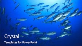  Presentation with fish ocean - Amazing PPT theme having marine animals - school of bigeye trevally fish backdrop and a navy blue colored foreground