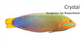  Presentation with white green - Audience pleasing PPT theme consisting of marine animals - tropical fish isolated backdrop and a white colored foreground