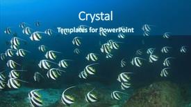  Presentation with tropical - Cool new PPT theme with marine animals - tropical fish school longfin bannerfish backdrop and a ocean colored foreground