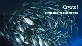  Presentation with tuna fish - Presentation design featuring marine animals - tuna fish background and a ocean colored foreground