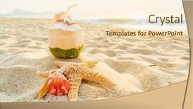  Presentation with beach frame - Cool new PPT theme with marine animals ocean frame - coconut seashell and starfish backdrop and a cream colored foreground