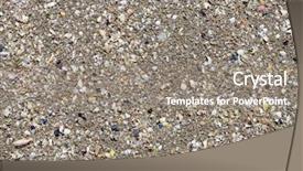  Presentation with crustacean - Cool new slides with marine animals ocean frame - remains of crustacean shells backdrop and a gray colored foreground