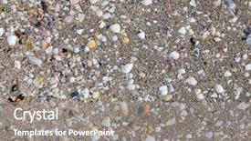  Presentation with crustacean - Colorful theme enhanced with marine animals ocean frame - remains of crustacean shells backdrop and a gray colored foreground