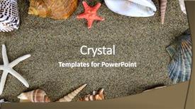  Presentation with sea shells - Presentation theme with marine animals ocean frame - sea shells with sand background and a  colored foreground