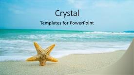  Presentation with tropical beach party - Presentation theme consisting of marine animals ocean frame - starfish at the tropical beach background and a light blue colored foreground