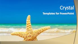  Presentation with starfish - Presentation design with marine animals ocean frame - starfish at the tropical beach background and a gray colored foreground