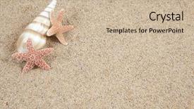  Presentation with beach wedding heart on sand - Cool new presentation theme with marine animals ocean frame - starfish in the beach sand backdrop and a soft green colored foreground