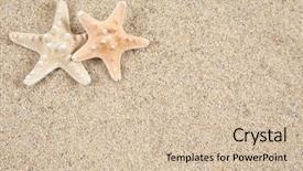  Presentation with beach frame - PPT theme enhanced with marine animals ocean frame - starfish in the beach sand background and a soft green colored foreground