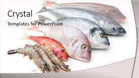  Presentation with seafood - Beautiful slides featuring marine aquaculture - fresh catch of fish backdrop and a white colored foreground
