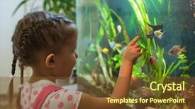  Presentation with fish aquarium - PPT theme featuring marine aquariums - little girl child looks background and a tawny brown colored foreground