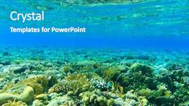  Presentation with marine - Audience pleasing PPT theme consisting of marine aquariums - underwater panorama with fish backdrop and a  colored foreground