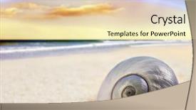  Presentation with sea shell - Amazing slide deck having marine biology - beautiful perfectly shaped sea shell backdrop and a lemonade colored foreground