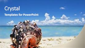  Presentation with sea shell - Amazing slide deck having marine biology - beautiful sea shell backdrop and a teal colored foreground