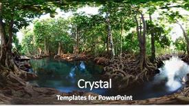  Presentation with krabi - PPT layouts enhanced with marine biology - mangrove trees in a peat background and a tawny brown colored foreground