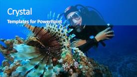  Presentation with marine - Beautiful presentation theme featuring marine biology - scuba diver and lionfish pterois backdrop and a teal colored foreground