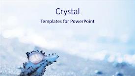  Presentation with shells - Slides enhanced with marine biology - shells background and a sky blue colored foreground