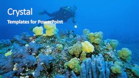  Presentation with biology - Slides having marine biology - underwater view with colorful soft background and a teal colored foreground