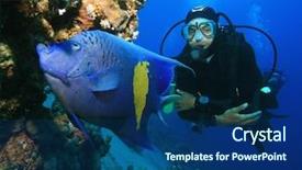  Presentation with arabian nights - Amazing theme having marine biology coral - yellowbar arabian angelfish and scuba backdrop and a ocean colored foreground