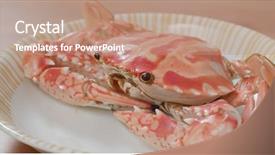  Presentation with frozen shoulder - Colorful presentation theme enhanced with marine crabs - dress a steamed chaozhou frozen backdrop and a coral colored foreground