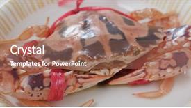  Presentation with steam - Presentation theme having marine crabs - uncook chaozhou style steam crab background and a coral colored foreground