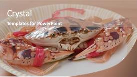  Presentation with dragonfly and flower - Amazing PPT theme having marine crabs - uncook fresh flower crab backdrop and a coral colored foreground