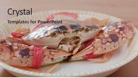  Presentation with frozen treats - Colorful PPT layouts enhanced with marine crabs - uncooked chaozhou frozen crab backdrop and a coral colored foreground