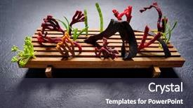  Presentation with seaweed - Beautiful presentation design featuring molecular nutrition - codium seaweed salad modern cuisine backdrop and a dark gray colored foreground