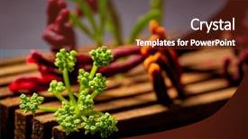  Presentation with seaweed - Colorful presentation enhanced with molecular nutrition - codium seaweed salad modern cuisine backdrop and a tawny brown colored foreground