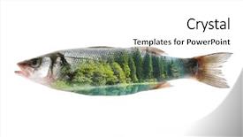  Presentation with free nature - Presentation theme consisting of marine life free - fish and nature background and a white colored foreground