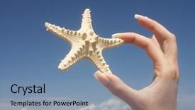  Presentation with two people holding hands - Presentation theme having marine life free - girl holding a starfish background and a light blue colored foreground