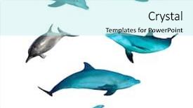  Presentation with history earth globe isolated white - Audience pleasing theme consisting of marine mammaks - bottlenose dolphins isolated on white backdrop and a arctic colored foreground