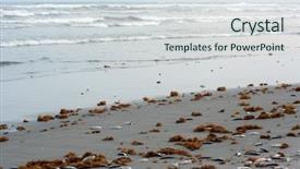  Presentation with fish beach - Presentation design with marine pollution - lot of dead fish background and a sky blue colored foreground