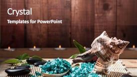  Presentation with seashell - Amazing slide set having marine salt and seashell backdrop and a tawny brown colored foreground