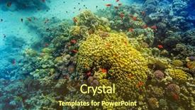  Presentation with sea coral - Cool new PPT layouts with marine sponge - coral and fish backdrop and a tawny brown colored foreground
