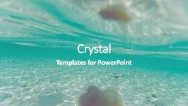  Presentation with jellyfish - Slides with marine sponge - jellyfish in andaman sea background and a teal colored foreground