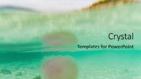  Presentation with jellyfish - Colorful slide set enhanced with marine sponge - jellyfish in andaman sea backdrop and a seafoam green colored foreground