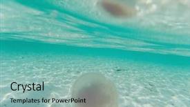  Presentation with jellyfish - Cool new slide deck with marine sponge - jellyfish in andaman sea backdrop and a light blue colored foreground