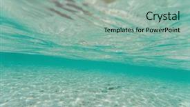  Presentation with jellyfish - Colorful slide set enhanced with marine sponge - jellyfish in andaman sea backdrop and a mint green colored foreground