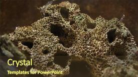  Presentation with worm - Cool new presentation theme with mariner - honeycomb worm sabellaria alveolata marine backdrop and a tawny brown colored foreground