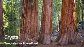  Presentation with yosemite - Presentation theme having mariposa grove of giant background and a tawny brown colored foreground