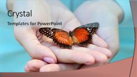  Presentation with butterfly - Amazing theme having mariposas - colorful butterfly in female hand backdrop and a light blue colored foreground