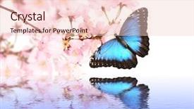  Presentation with butterfly - Slide deck with mariposas - spring blossoms with butterfly background and a lemonade colored foreground