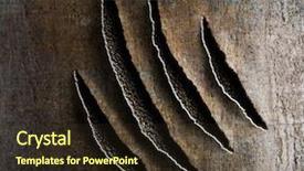  Presentation with metal - Colorful presentation enhanced with mark - claws damage on rusty metal backdrop and a wine colored foreground