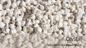  Presentation with garlic garlic garlic bulb - Theme featuring market for farm products india background and a mint green colored foreground