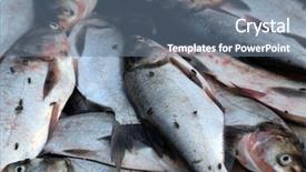  Presentation with west - Slide set having market in kumrokhali west bengal background and a  colored foreground