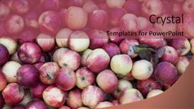  Presentation with fresh man chemistry - Presentation design featuring market many apples a great background and a  colored foreground